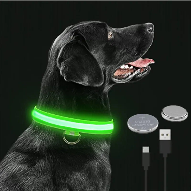 Colar de Led para Pets