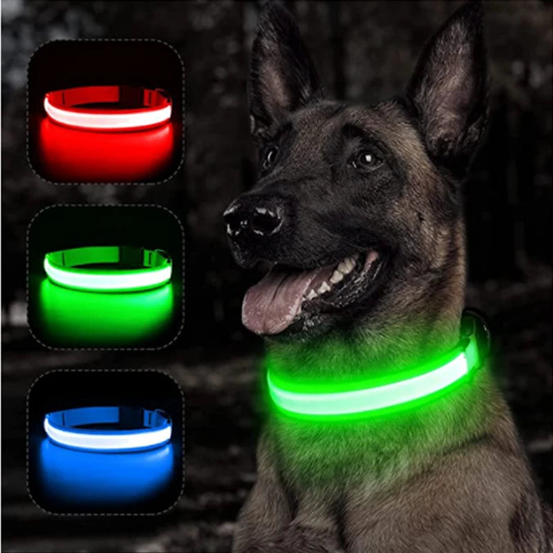 Colar de Led para Pets