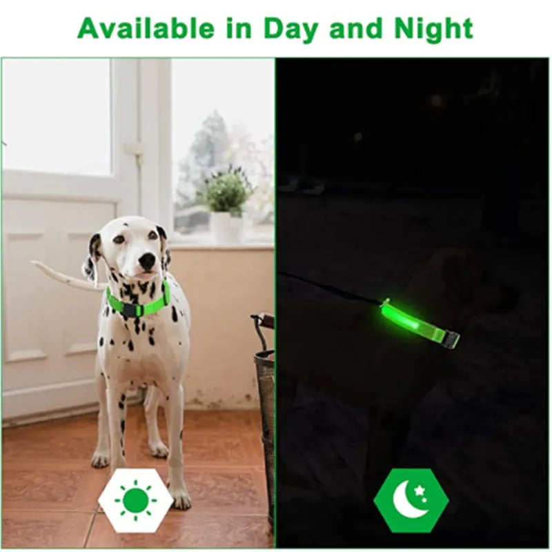 Colar de Led para Pets